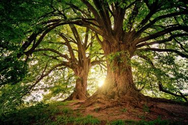 ‘I AM WITH THEE : BE NOT DISMAYED’